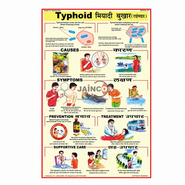 Typhoid Chart